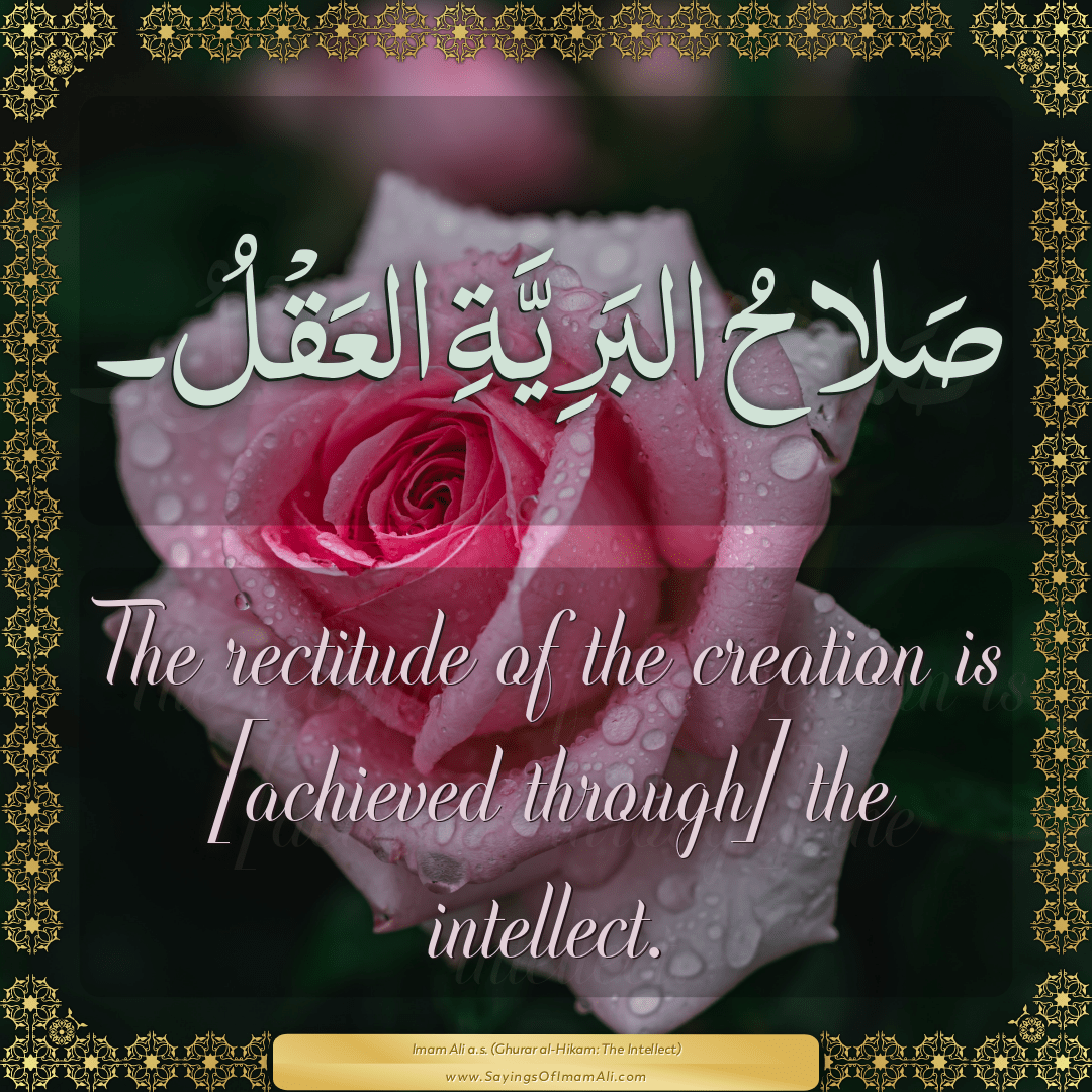 The rectitude of the creation is [achieved through] the intellect.